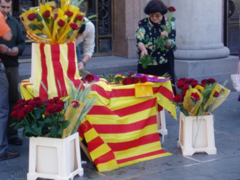 Rosas made in San Jordi